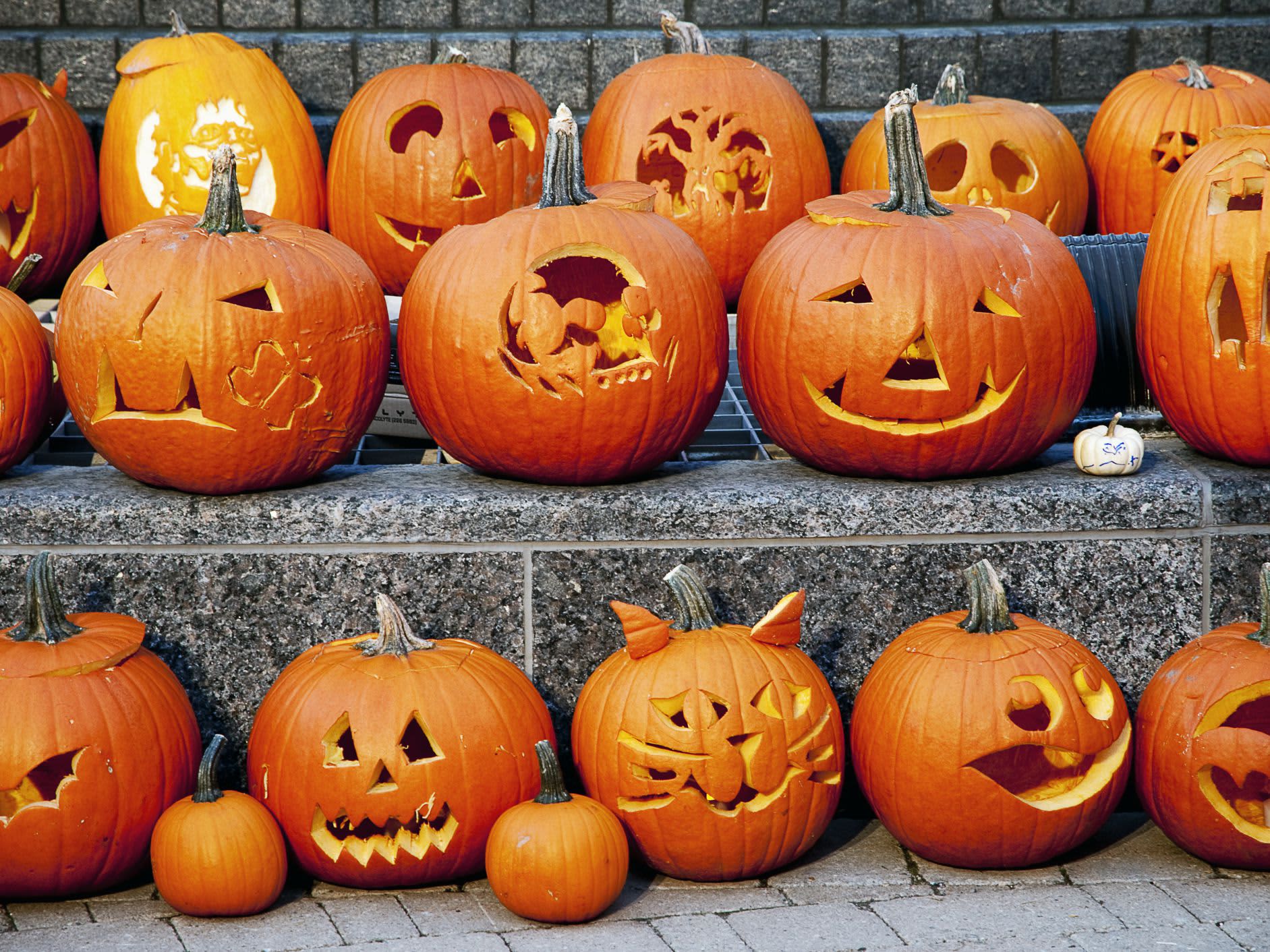Pumpkin Jack O’Lantern