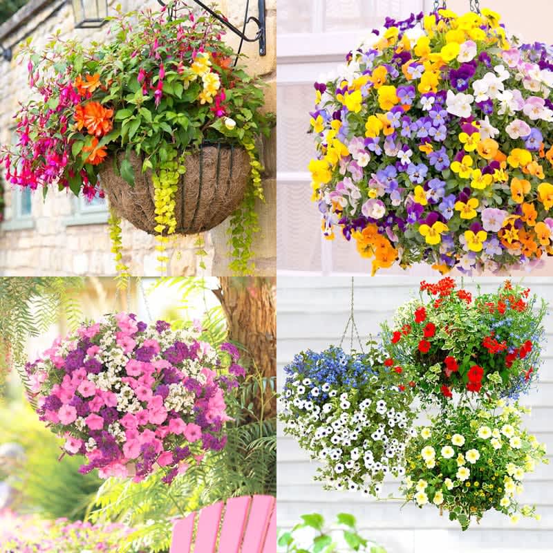14″ Hanging Baskets